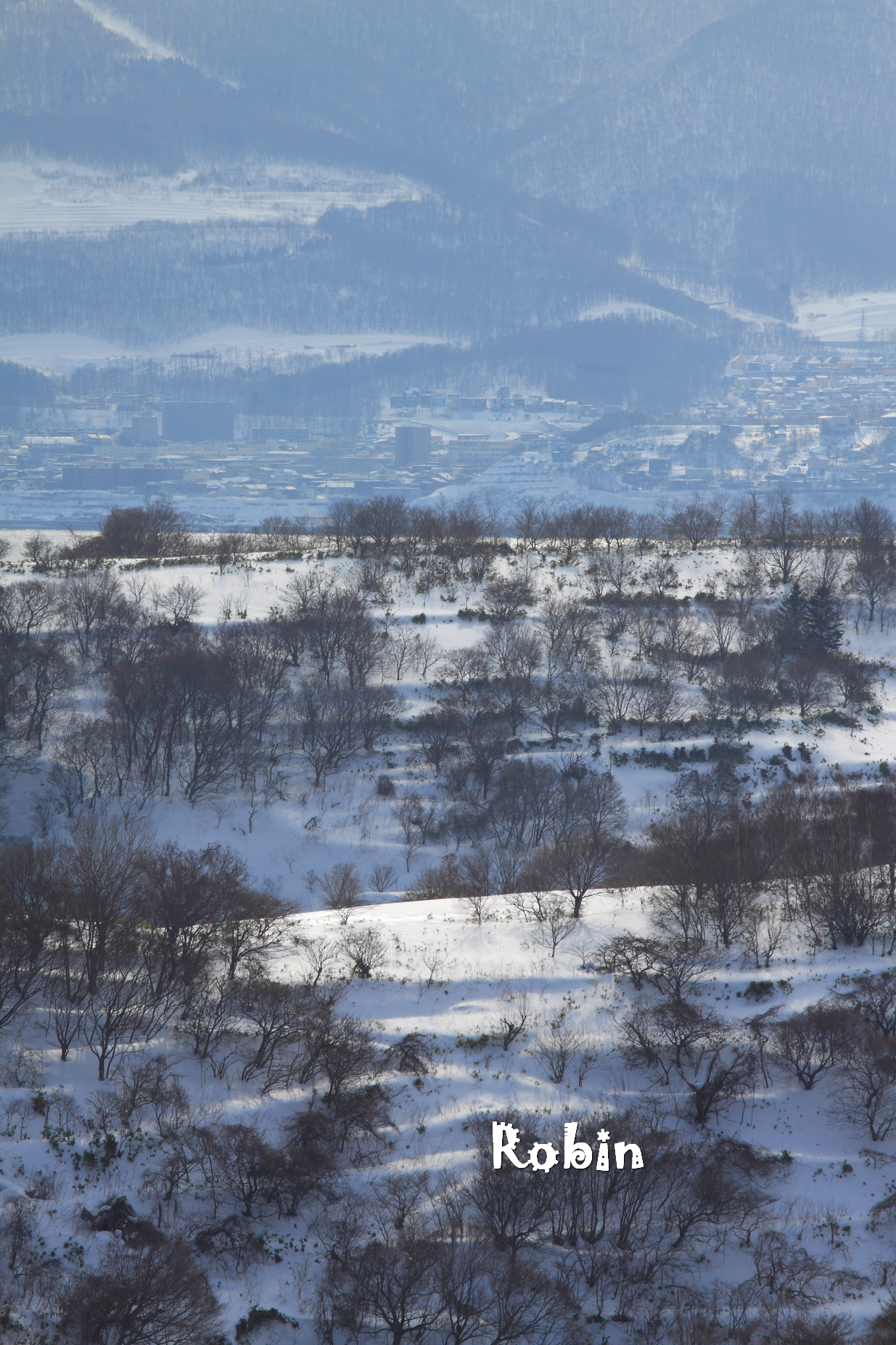 北海道自助遊攻略