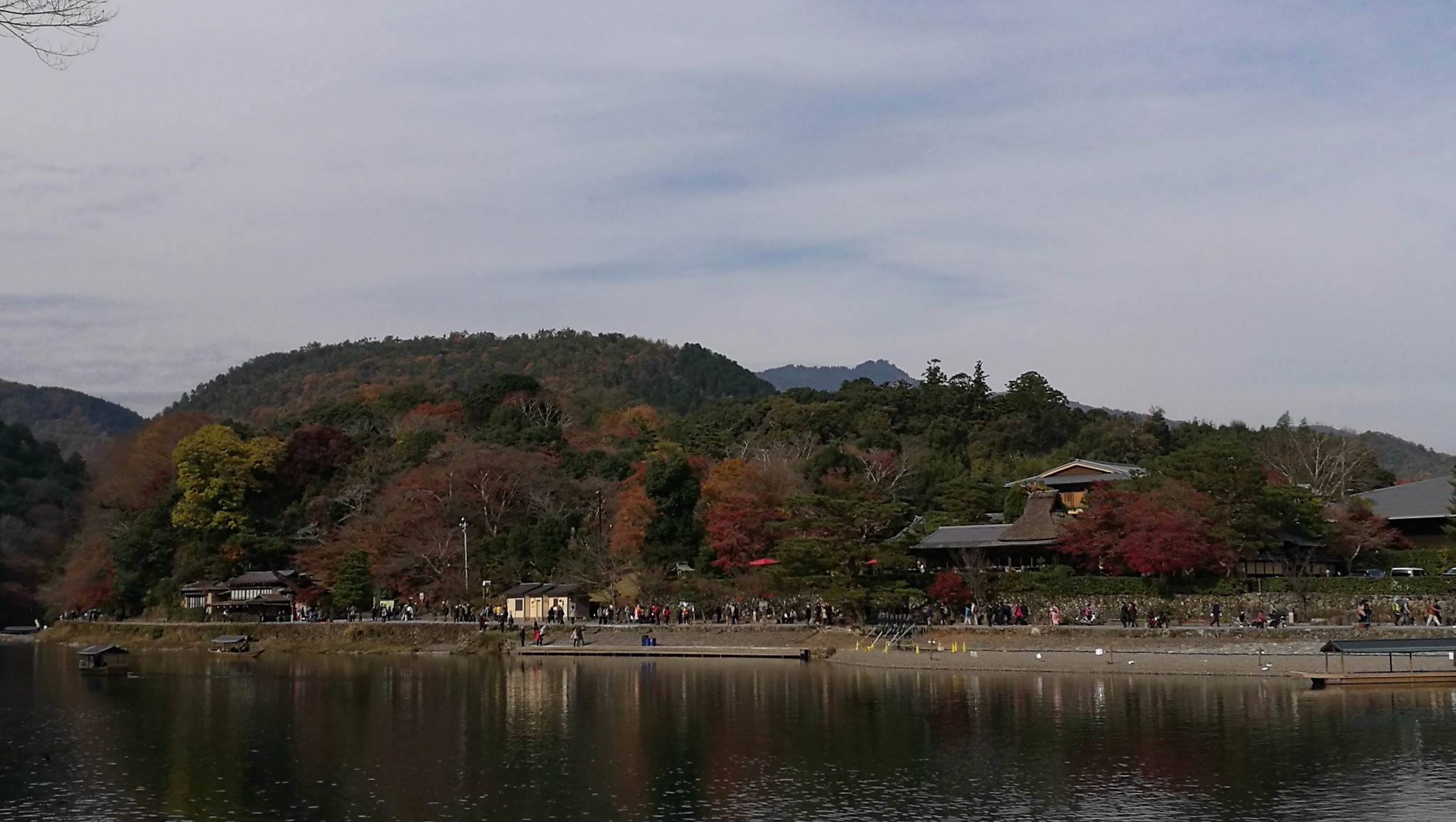 京都自助遊攻略