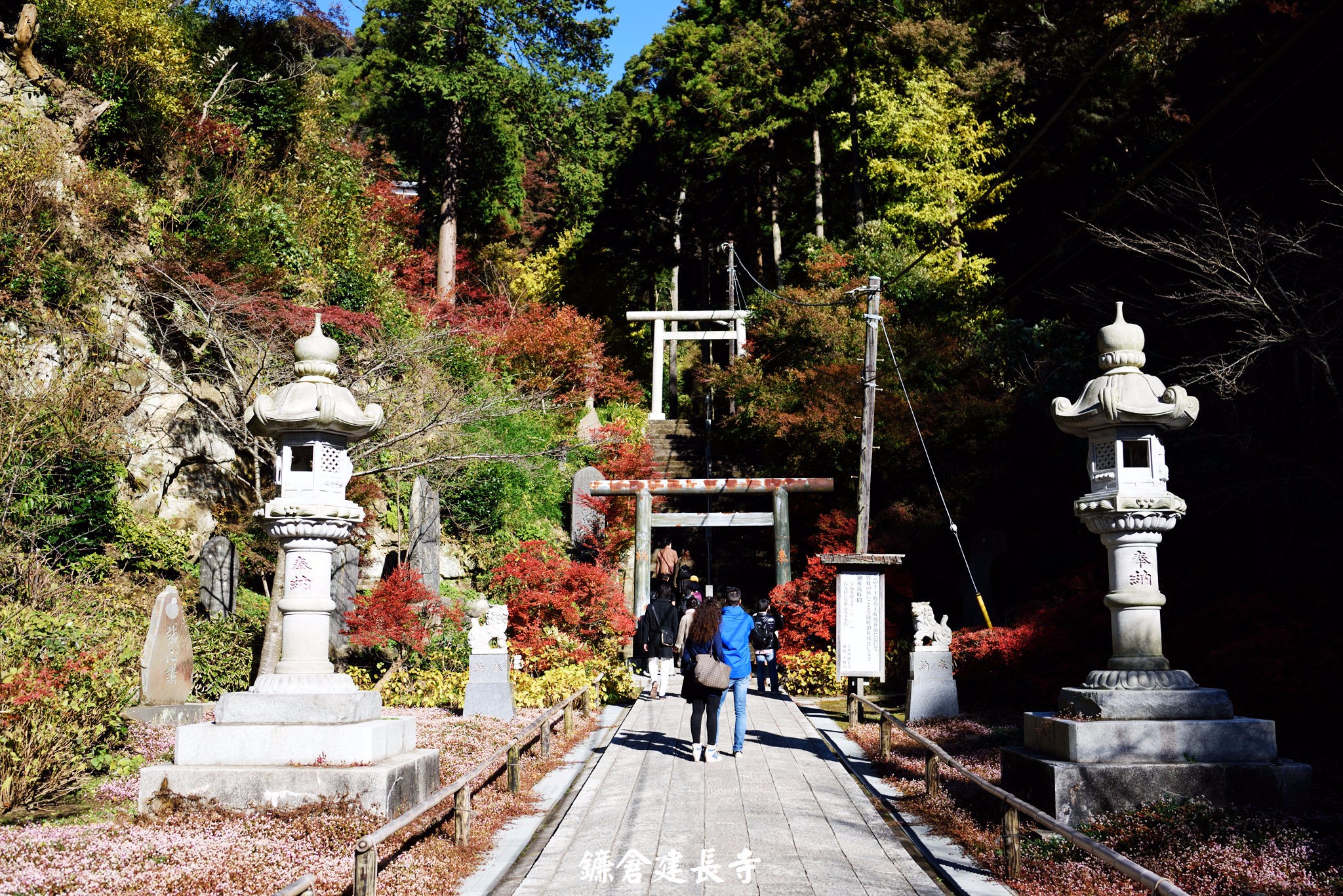 鐮倉自助遊攻略