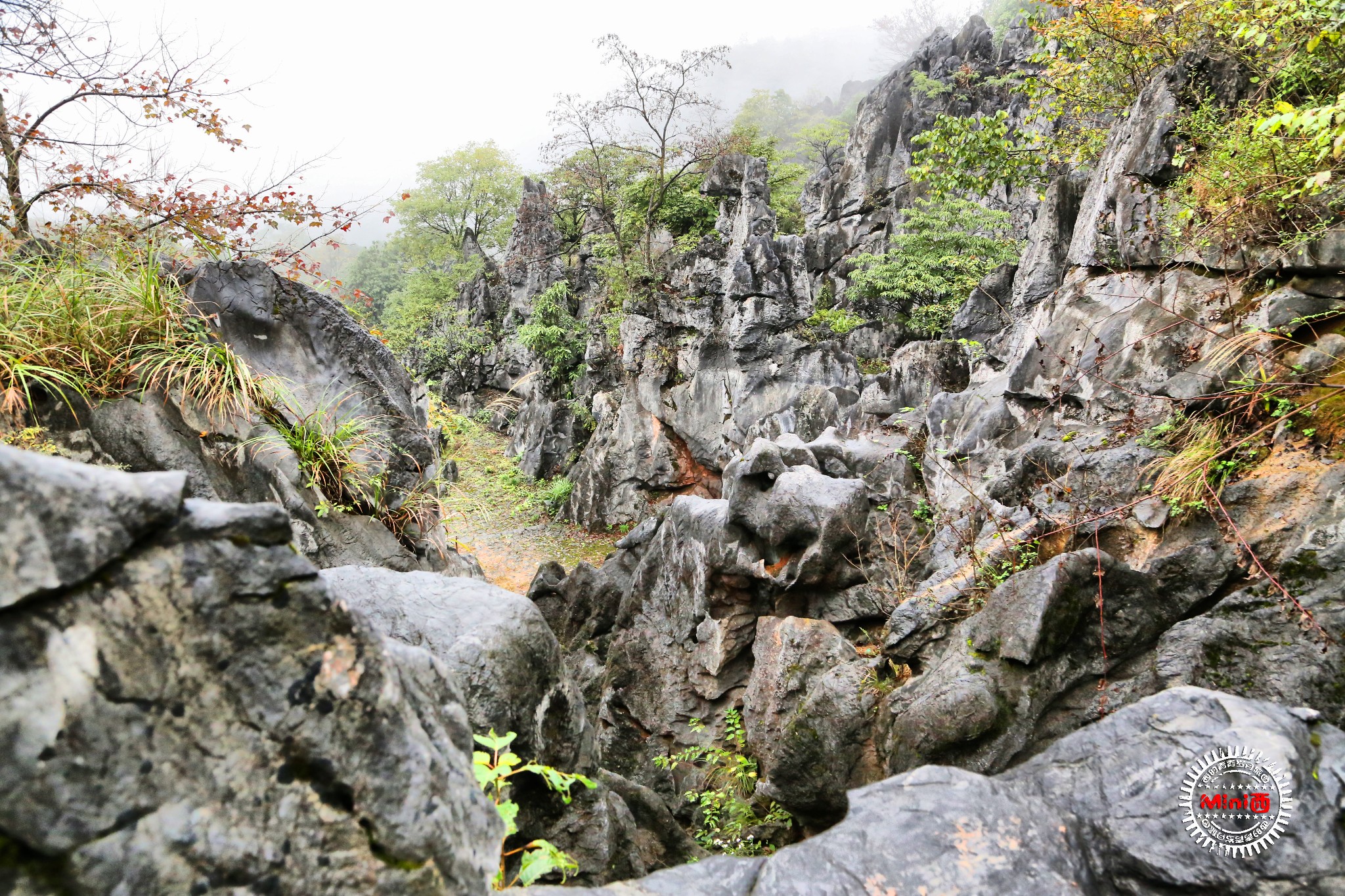 千島湖自助遊攻略