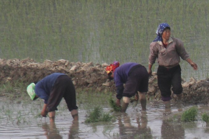 朝鮮自助遊攻略