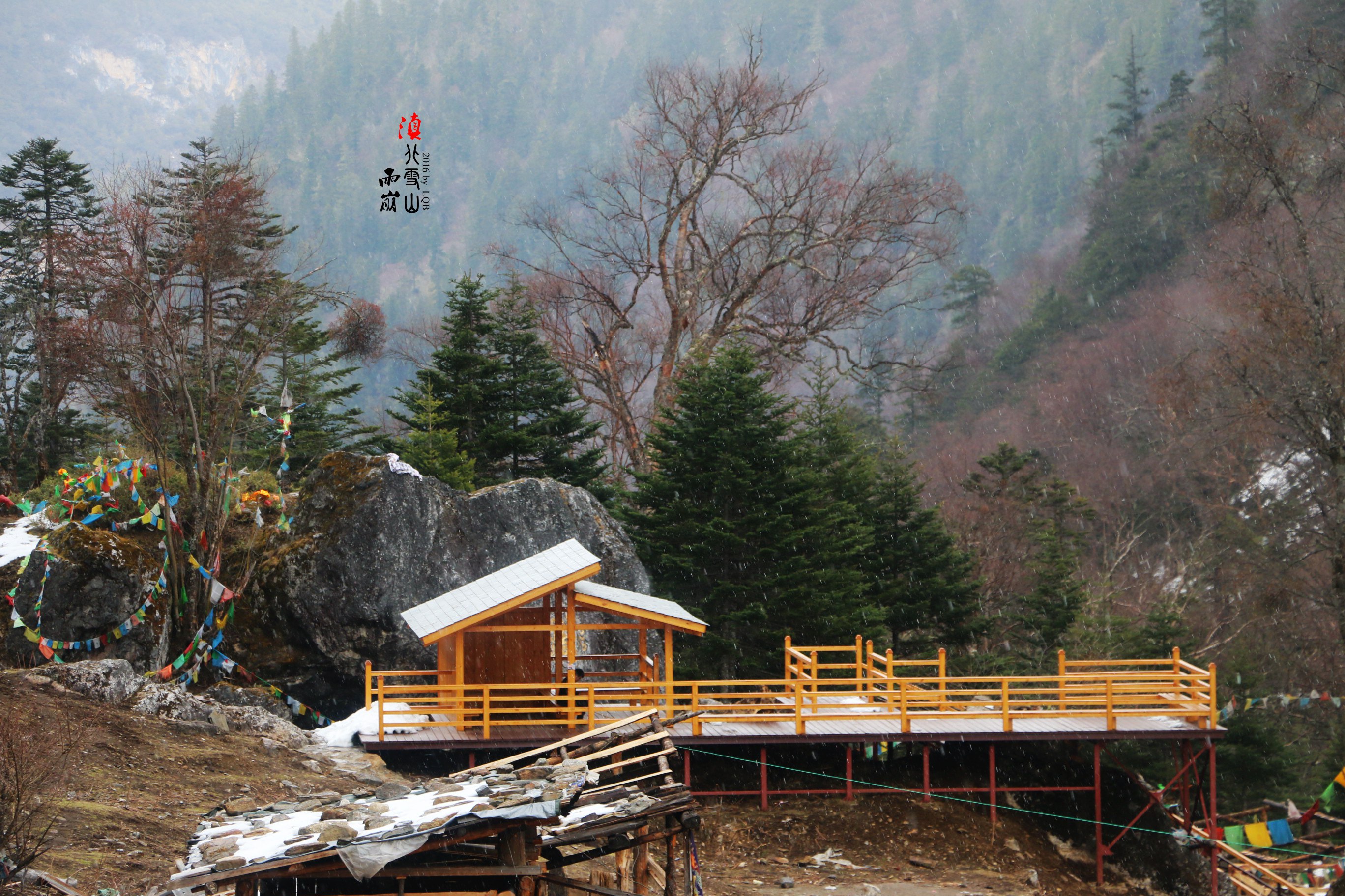 雨崩自助遊攻略